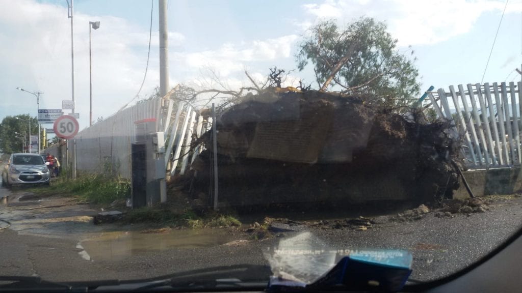 Violento nubifragio su Rende, allagamenti e alberi caduti ovunque