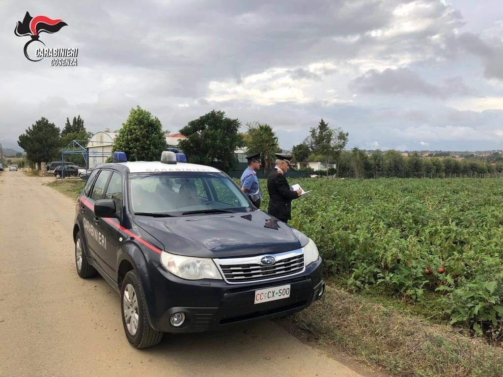 Caporalato, arrestato un imprenditore agricolo