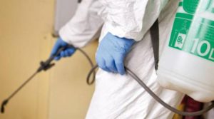 derattizzazione e disinfestazione Cosenza