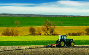 Gal Valle del Crati, opportunità per le aziende con un nuovo bando