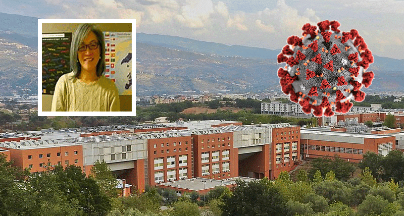 Teresa Ting Coronavirus