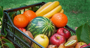 Semplici consigli per conservare correttamente frutta e verdura