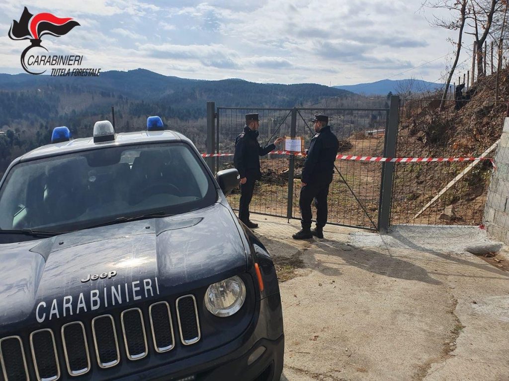 Dissodamento con estirpazione di oltre 100 ceppaie. Due persone denunciate