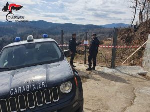 Dissodamento con estirpazione di oltre 100 ceppaie. Due persone denunciate