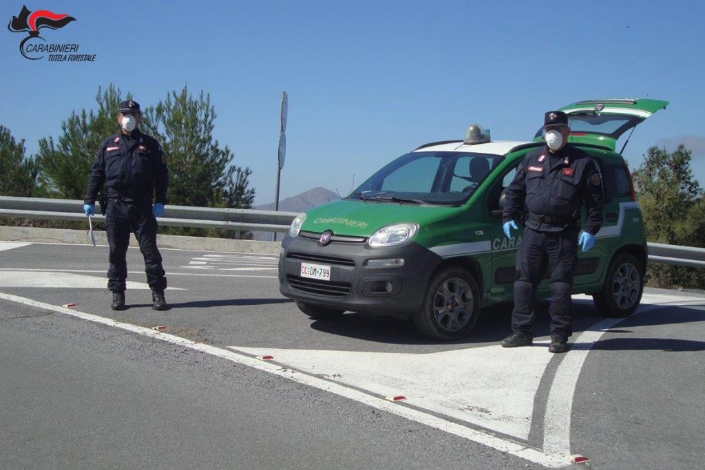 Controlli Carabinieri Forestale Montalto Uffugo