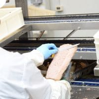 lavorazione del tonno