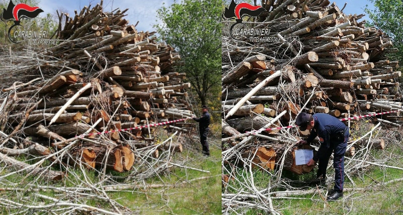Acri taglio abusivo, sequestro e denunce dei Carabinieri Forestale