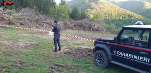 Morano Calabro, taglio abusivo: sequestrata area boscata