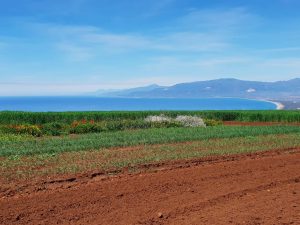 Cufari: la Calabria sfrutti le sue unicità e le sue risorse