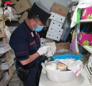 Acri, Carabinieri Forestale sequestrano un caseificio abusivo