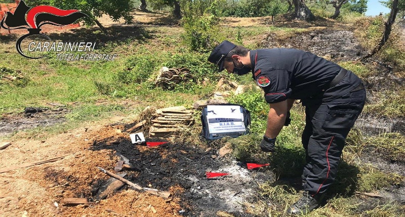 Regione Carabinieri Calabria - incendio rota greca