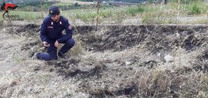 denunciato un uomo di Lungro responsabile di un incendio sviluppatosi in località “Pettinaro” a Lungro