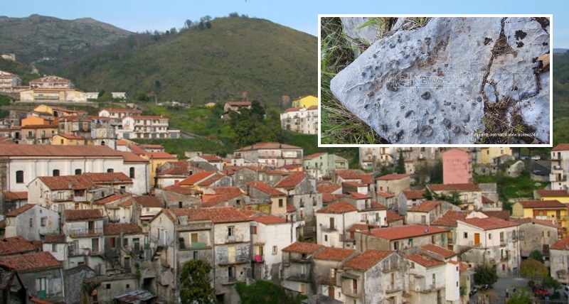 Fossili risalenti a 250 milioni di anni fa, straordinaria scoperta in Calabria