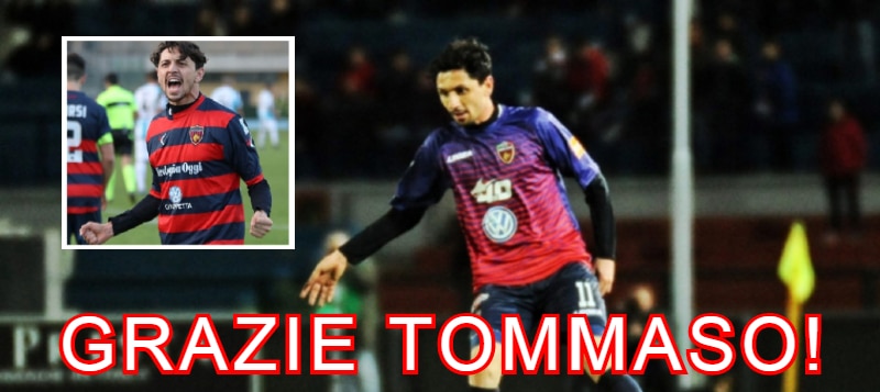 cosenza calcio tommaso d'orazio lascia i lupi