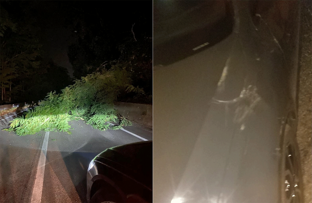 Strada Statale 107 "Silana-Crotonese", albero cade su vettura in transito