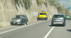 Albero cade sulla Strada Statale 107 "Silana Crotonese", tragedia sfiorata