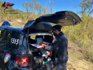 San Martino di Finita: denunciate tre persone per furto e taglio abusivo