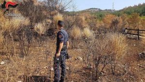Cariati_ danno fuoco ai terreni per trarre profitto per il pascolo. Denunciati proprietari di azienda agricola 2