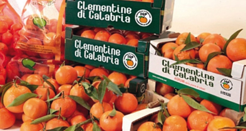 Clementine di Calabria