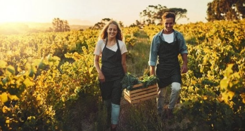 Coldiretti Calabria _ si consolida la presenza dei giovani imprenditori