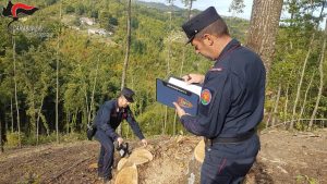 Controlli Forestale