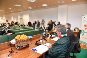Sviluppo rurale, presentati i bandi "Agrumicoltura" e "Infrastrutture"