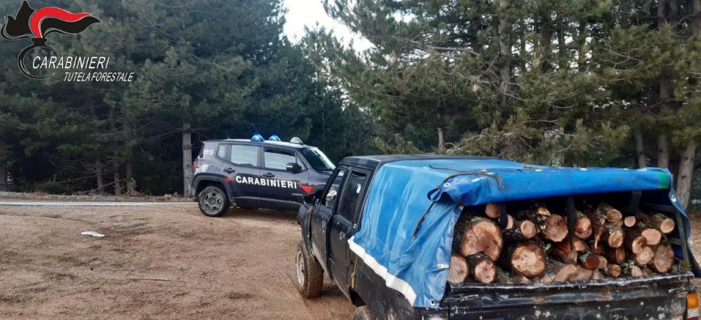 Furto di legna, un arresto dei Carabinieri Forestale di Rossano