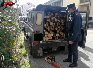 Taglio furtivo su terreno comunale, denunciato un uomo di San Marco Argentano