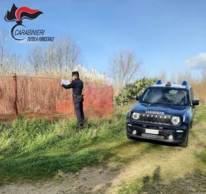 Luzzi, scarichi fognari: controlli e denunce dei Carabinieri Forestale