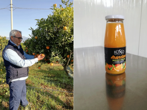 Coldiretti-Campagna Amica, arriva Araclem: la spremuta di arance e clementine