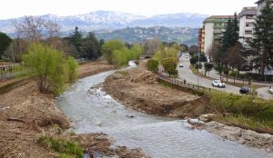 Torrente Campagnano privano la fauna selvatica del loro habitat naturale