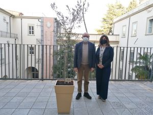 La Provincia di Cosenza aderisce a One Billion Rising 2021