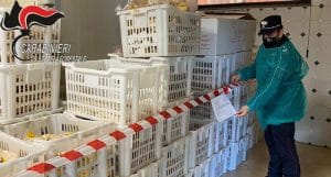 San Lorenzo del Vallo _ sequestrati 13 quintali di panificazione e pasta