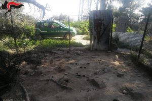 Trebisacce, detenevano in un luogo non idoneo 19 cani: denunce e sequestri