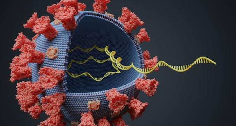 VARIANTE-VIRUS REGIONE CALABRIA