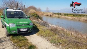 Corigliano, sequestrati agrumeti occupati abusivamente: 16 gli indagati