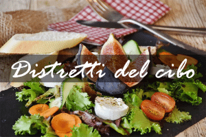 Gal STS Savuto Tirreno Serre Cosentine in campo per il Distretto del Cibo