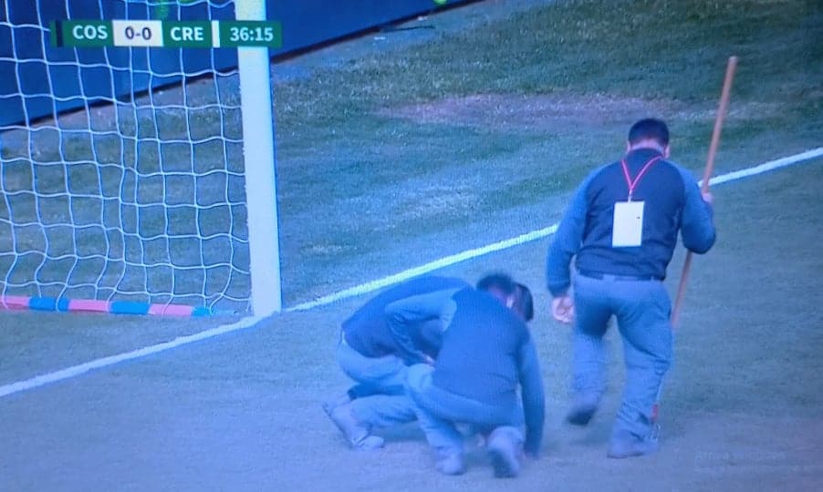 ditta terreno di gioco