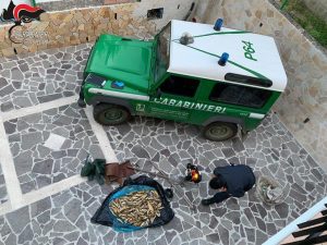 Cotronei, pesca di frodo con generatore di corrente: tre persone denunciate