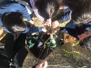 MANDATORICCIO Un albero per il futuro, il Comprensivo statale piantuma 100 alberelli.doc2