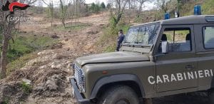 San Giovanni in Fiore sequestrata area boscata interessata a lavori di dissodamento abusivi
