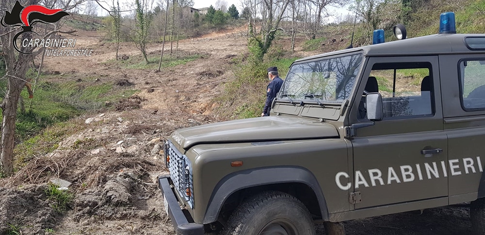 San Giovanni in Fiore sequestrata area boscata interessata a lavori di dissodamento abusivi