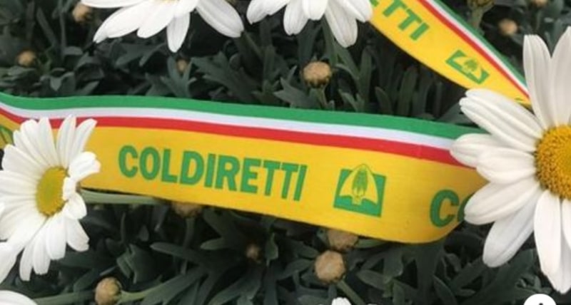 Coldiretti Calabria _ aumentano richieste di piante e fiori nei vivai dopo l'anno Covid