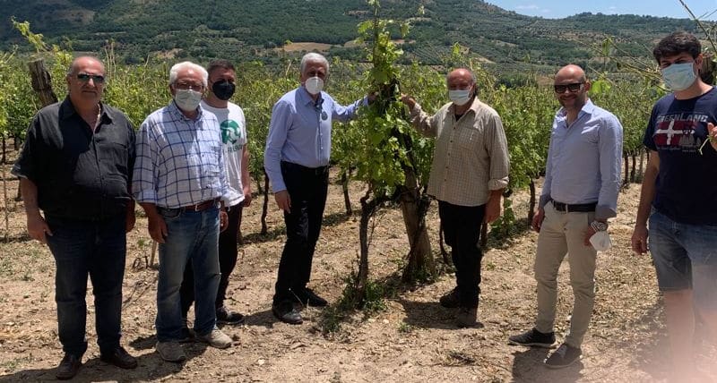 Danni all'agricoltura_ Consigliere Regionale Graziano in visita a Frascineto