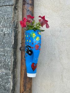 Le_piantine_collocate_in_buffe_maschere_a San Benedetto Ullanno