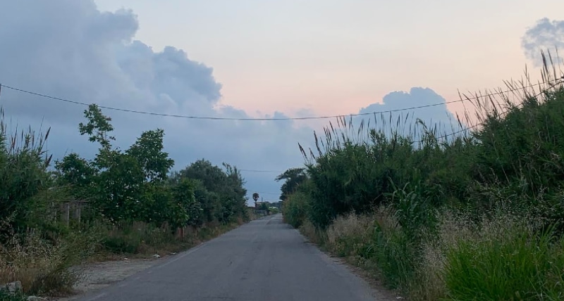 Lega Calabria _ _L'abbandono delle strade è indice ovvio di disattenzione_