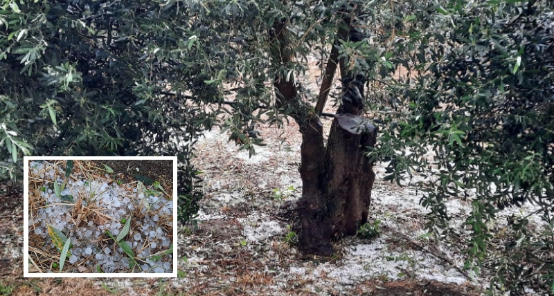 Maltempo e grandinate sul Pollino, Abate_ _Situazione subito da segnalare_