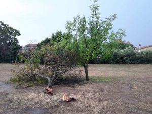 Maltempo e grandinate sul Pollino, danni