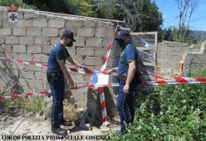 Polizia Provinciale di Cosenza sequestra numerosi gatti e un fabbricato
