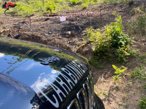 Bruciava pneumatici, denunciato dai Carabinieri Forestale di Montalto